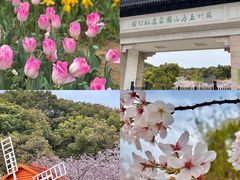 -苏州上方山国家森林公园