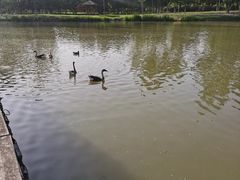 -西安浐灞国家湿地公园