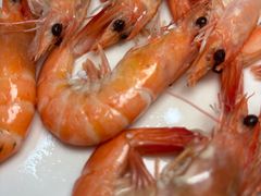 -惠粤轩茶餐厅(中山北路店)