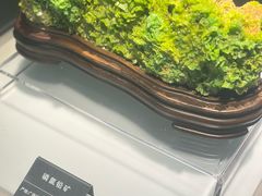 -安徽省地质博物馆