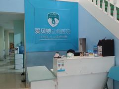 -爱贝特动物医院·猫口炎专科