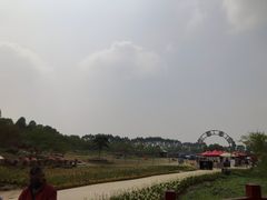 -秀丽东方