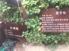 -仁爱团泊湖温泉中心
