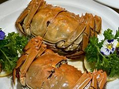 -杨氏青龙虾·羊蝎子(珠江路店)