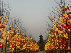 -龙华素斋(龙华路店)