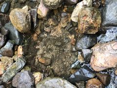 -碓臼峪自然风景区