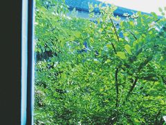 -湖南省立第一师范学校旧址