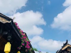 -星巴克臻选(成都宽窄巷子店)