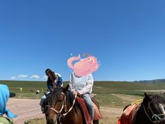 -山丹皇家马场