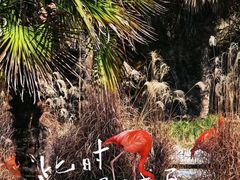 -李东农庄(中南百草园地标店)