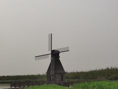 -宁波杭州湾国家湿地公园