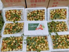 冬枣-诚信志远果业(淮阳三店)