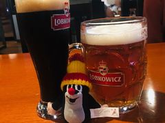 -布拉格餐厅· 中欧捷克菜(全国首店)