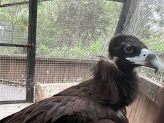 -沈阳鸟岛