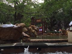 -广东省拱北口岸中国旅行社(华宾营业部)