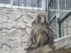 -泉州海丝野生动物世界