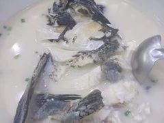 千岛湖浓汤鱼头-全乐鱼馆·淳牌有机鱼直营店