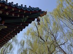 -迎泽公园