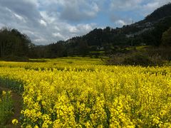 -樱桃山旅游景区