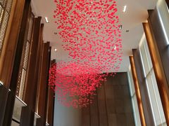 -嘉定凯悦·咖啡厅