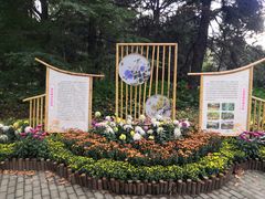 -上海共青森林公园