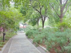 -菖蒲河公园