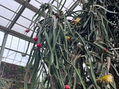 -南通洲际绿博园