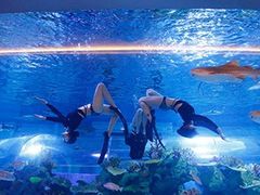 -成都浩海立方海洋公园