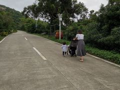 景点-东澳岛