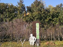 -洛阳市隋唐城遗址植物园