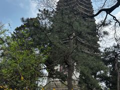 -博雅塔