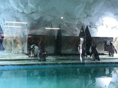 -北戴河圣蓝海洋公园