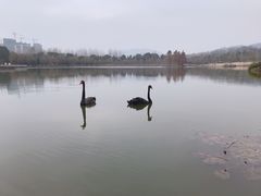 -浙江农林大学(东湖校区)
