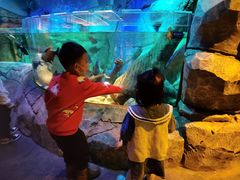 -沈阳海洋探索中心