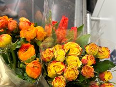 -循礼门鲜花花市(武汉循礼门店)