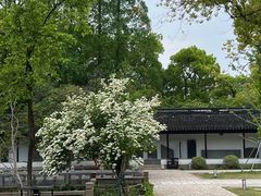 -苏州文庙(姑苏区)