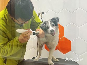 今天带狗子去洗澡啦 去的是离我家小区不远的一家宠物医