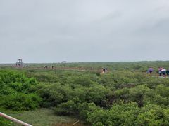 -北海金海湾红树林生态旅游区