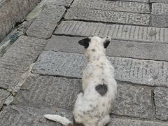 -HIB HUB公社(解放西路店)