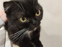 -共舞时光猫咖·狗咖(新街口店)