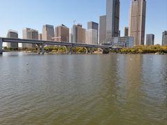 -海河外滩公园