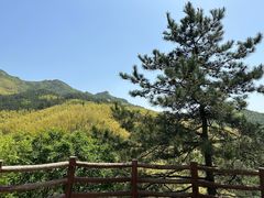 -罗田薄刀峰风景区