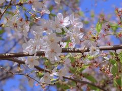 -龙美术馆(西岸馆)