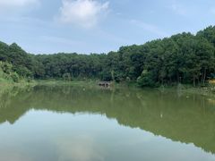 -铁山坪森林公园