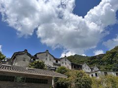 -雁南飞茶田景区