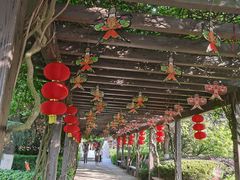 -白马涧龙池景区