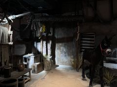 -西安电影制片厂