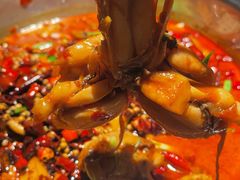 -宽口美蛙鱼头(大唐西市店)