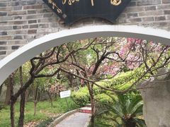 -南汇桃花村