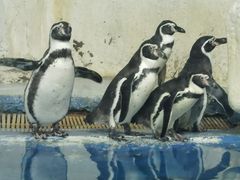 -太平洋海底世界